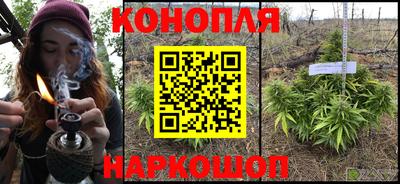 мяу мяу мука Нарткала